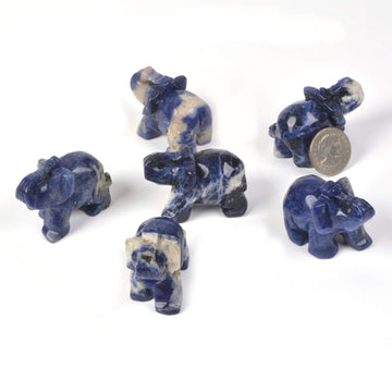 Justinstones Carved Natural Sodalite Gemstone Elephant Healing Guardian Statue Figurine Crafts 2 Inch