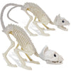 Giftexpress 2 Pack Real Size Cat Skeleton - 20'' Long Creepy Kitten Skeletons With Posable Tail Halloween Decor - Indoor & Outdo
