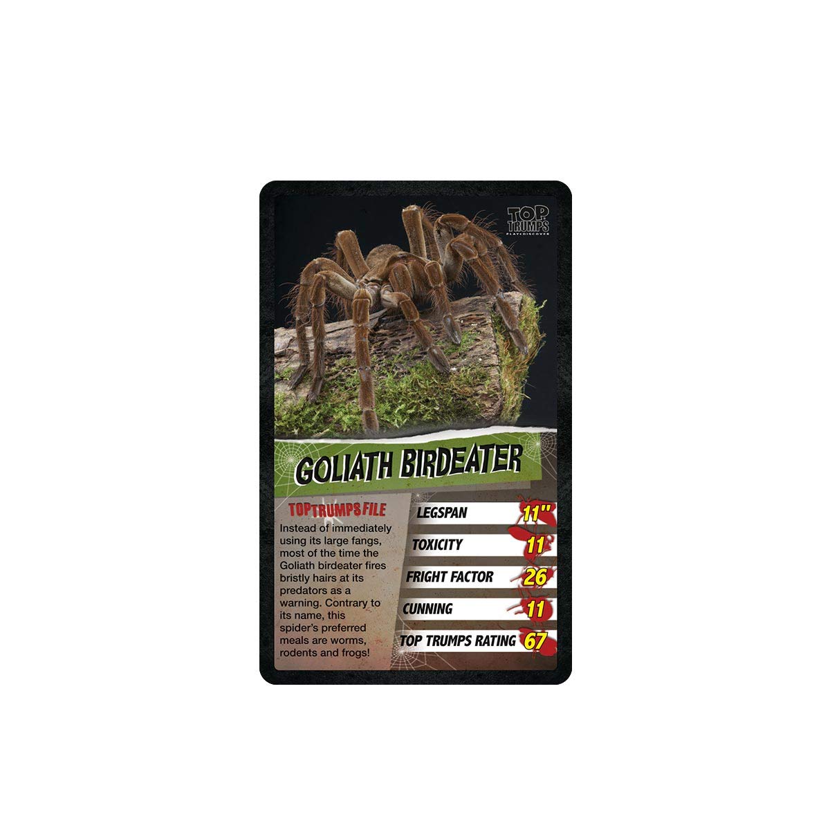 Top Trumps Card Game Spiders - Family Games For Kids And Adults - Learning Games - Kids Card Games For 2 Players And More - Kid War Games - Card Wars - For 6 Plus Kids