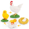 Life Cycle Set Life Cycle Of Chicken Toys Realistic Farm Animals Figurines Preschool Animals Figures Eduactional Project Diorama
