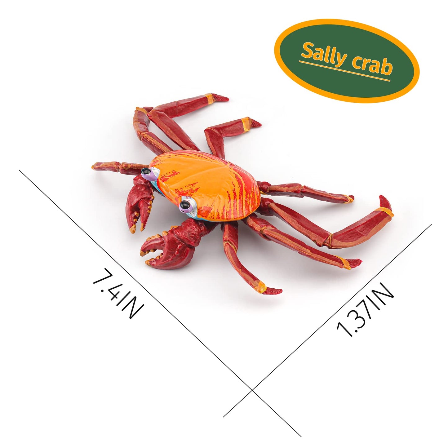 Lc Joycre Hermit Crab Toys Plastic Crab Figurine 5 Inch Sea Creatures Toys For Kids Crab Decor For Collection Realistic Sea Life