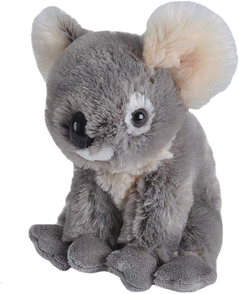 Wild Republic Koala Plush, Stuffed Animal, Plush Toy, Gifts For Kids, Cuddlekins 8 Inches (10986)