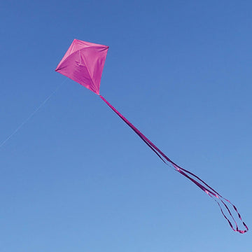 In The Breeze 3295 - Grape 30 Inch Diamond Kite - Solid Purple, Fun, Easy Flying Kite