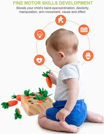 Rechiato Montessori Toys For 1 Year Old, Carrot Shape Size Sorting Game, Wooden Easter Baby Toys For Babies 6-12 Months Fine Mot
