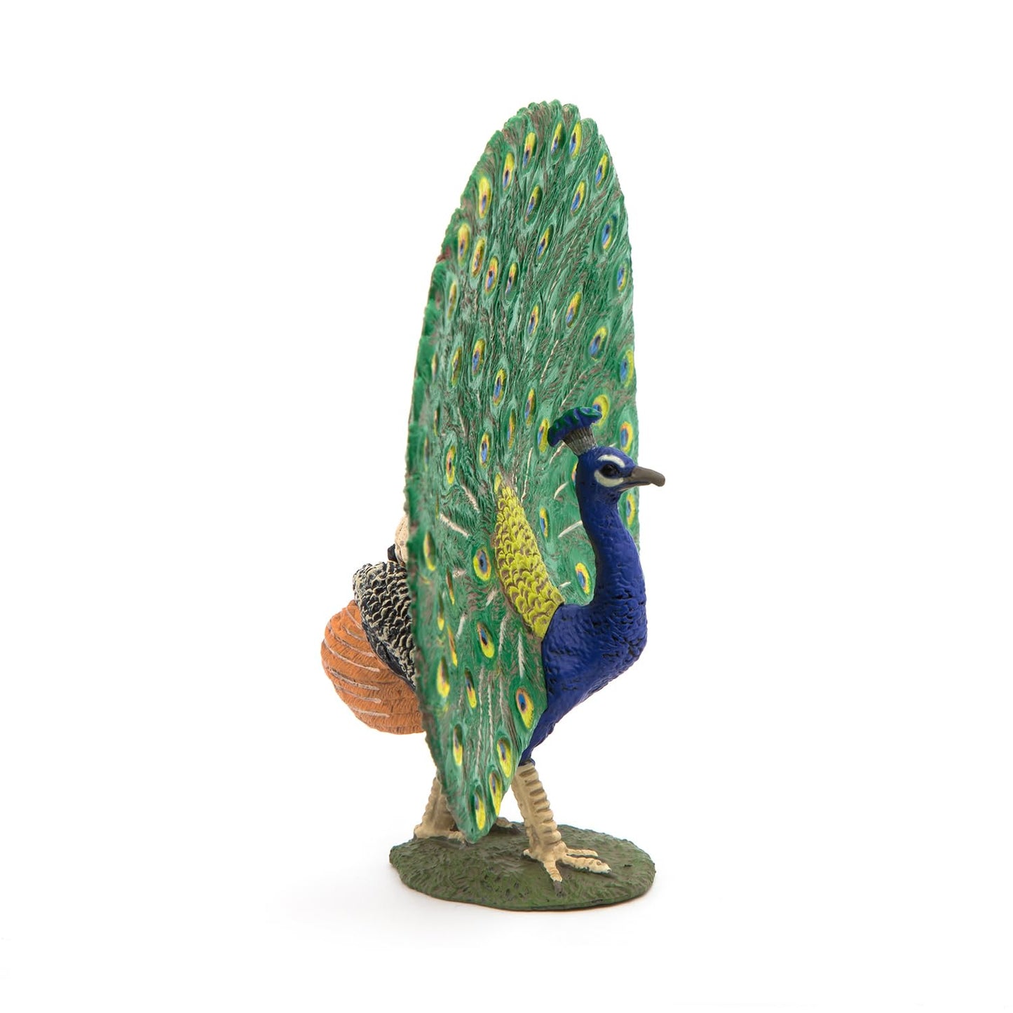 Papo Peafowl Figure - 51161, Multicolour PVC Model, Realistic Peacock Toy for Collectors and Kids