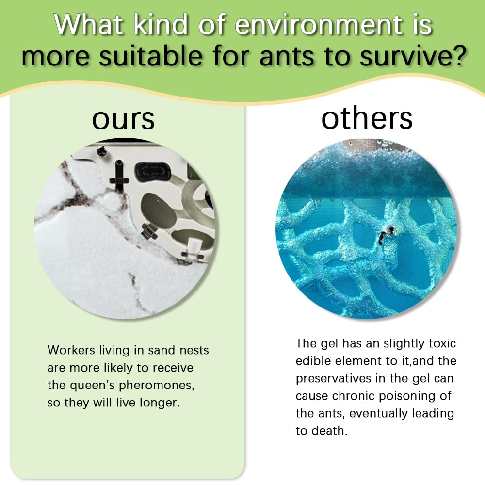 Elnmlht Ant Nest Farm Castle For Live Ants, Ant Colony Observation Kit, Ant Habitat Science Learning Kit For Students Kids Child