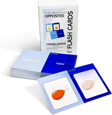 Pat'S Flash Cards 250 Learning Fun English Concepts Flash Cards Bundle