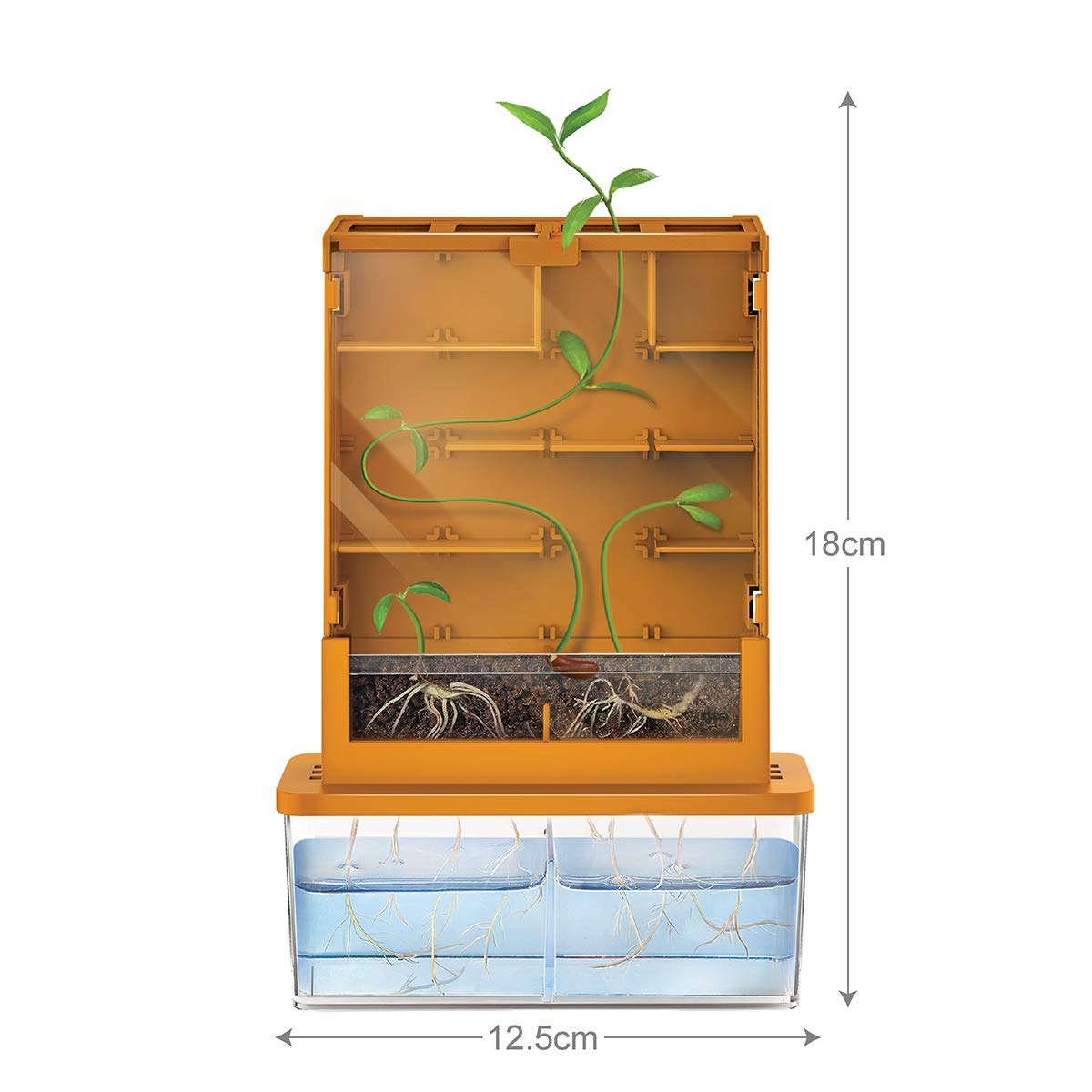 4M Green Science Grow A Maze Kit, Build A Plant Maze Science Kit, For Boys & Girls Ages 5+ , 5 X 4 Nches