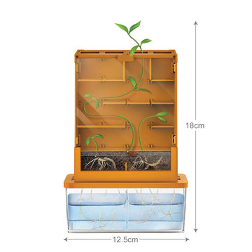4M Green Science Grow A Maze Kit, Build A Plant Maze Science Kit, For Boys & Girls Ages 5+ , 5 X 4 Nches