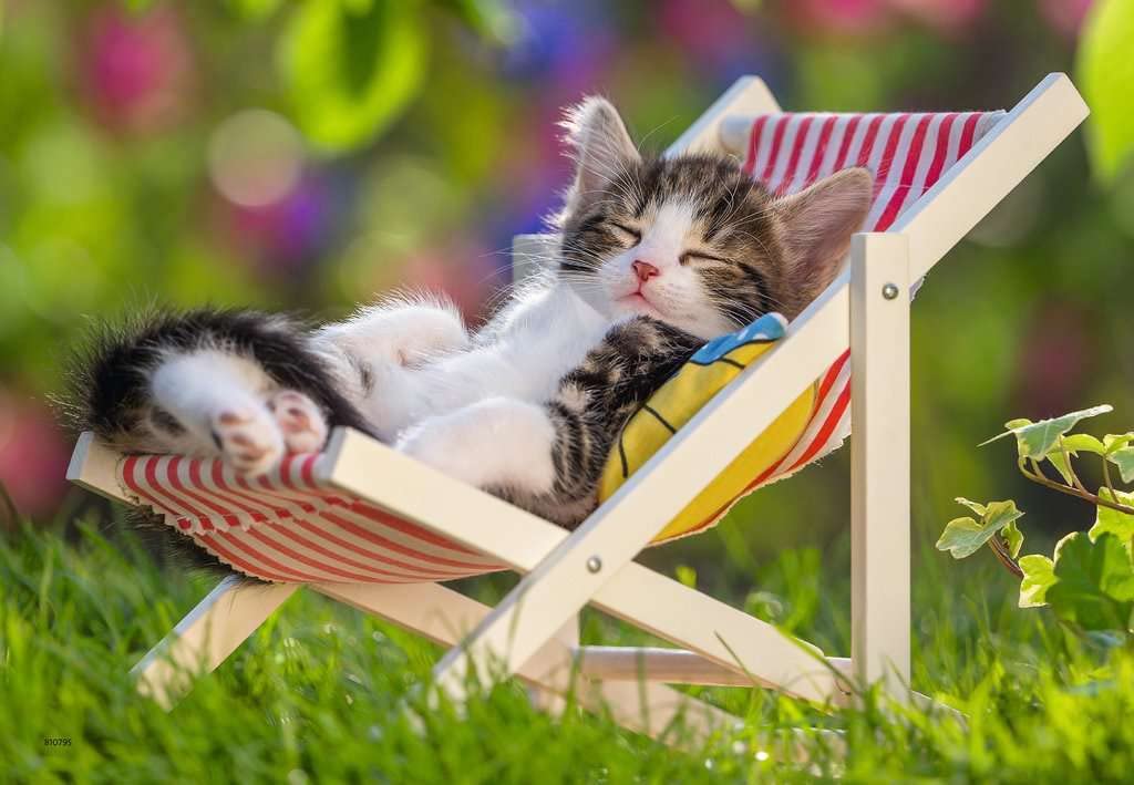 Ravensburger 07801, Sleepy Kitten 2 X 24 Piece Puzzles In A Box, 2 X 24 Piece Puzzles For Kids, Every Piece Is Unique, Pieces Fit Together Perfectly, Multi