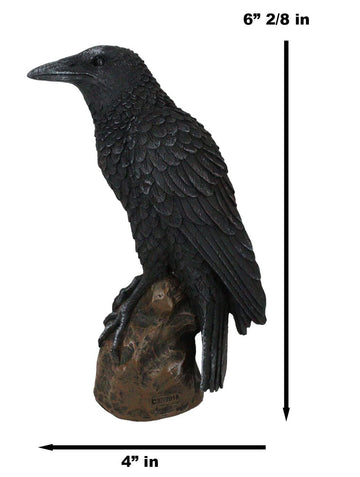 Ebros Gift Gothic Raven Figurine Crow Scavenger Bird Perching On Rock Sculpture 6' H Ossuary Macabre Harbinger Of Doom Ravens Crows Death Creature
