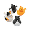 Fun Express 12 Pieces Vinyl Cat Rubber Duckies