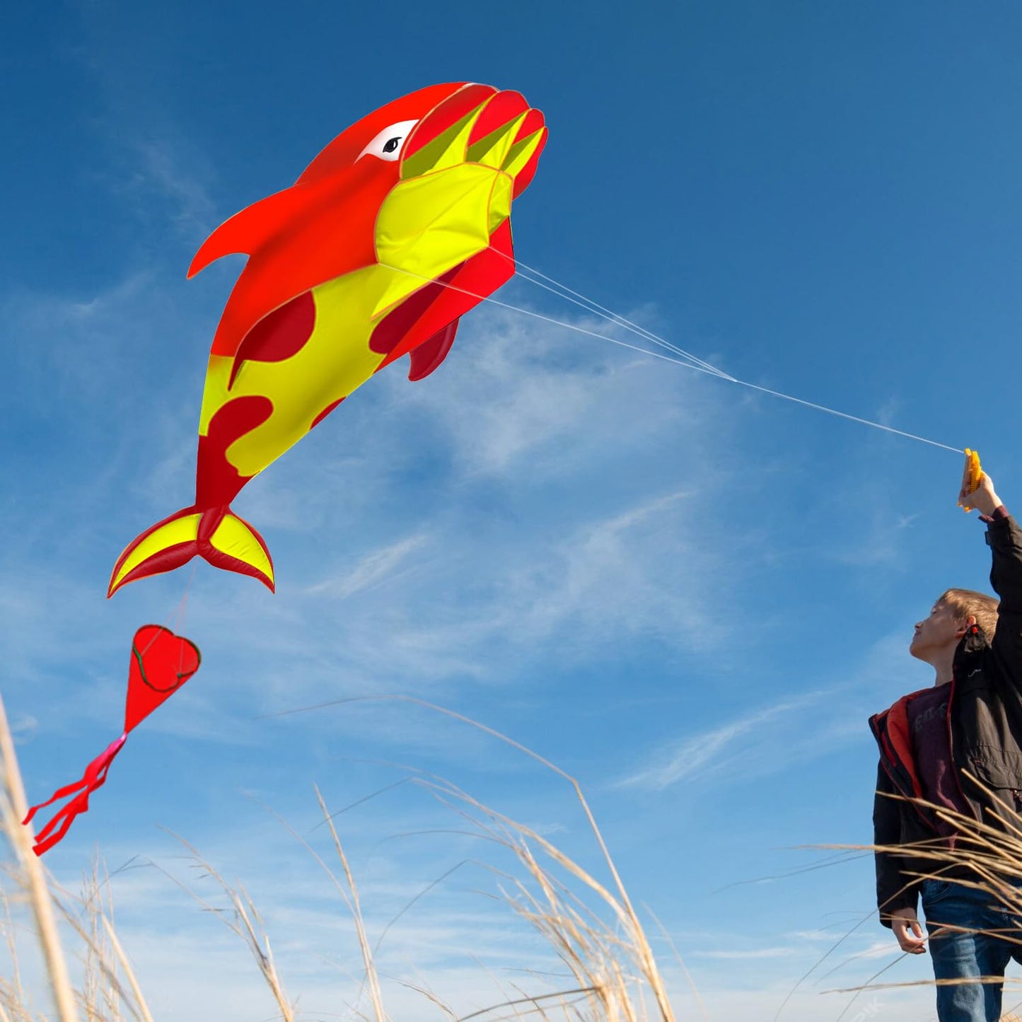 HENGDA KITE 3D Whales Kite,with 700 Feet Kite Reel String,for Kids and Adults,Easy to Fly,The Pictures are Beautiful in high Def
