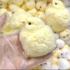 1Pcs New Handmade Chick Squishy Toys Ultra Soft Squishy Fidget Toys Silicone Squeeze Toys For Stress Relief ( Chicken ) (Chick,