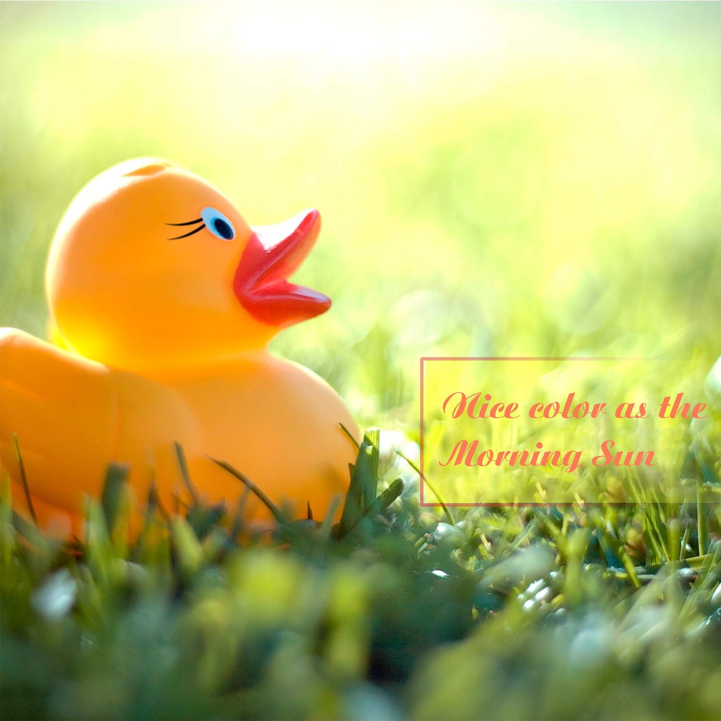 Novelty Place 12Pcs Rubber Duck Float Ducky Baby Bath Shower Toy, Yellow Mini Bath Duckies For Toddlers And Kids Birthday Gift P