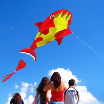 HENGDA KITE 3D Whales Kite,with 700 Feet Kite Reel String,for Kids and Adults,Easy to Fly,The Pictures are Beautiful in high Def