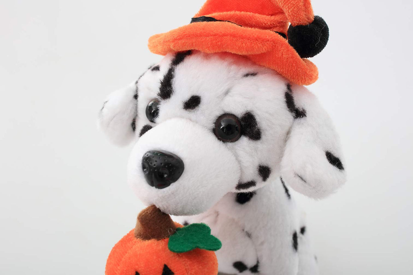 Plushland Halloween Pawpals 8 Inches Puppy Dog Plush Stuffed Toy Comes With Hat And Halloween Jack O Lantern - Pumpkin For Kids On This Holiday (Dalmatian)