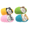 Coolayoung Plush Sleeping Cat Doll Toy - 4Pcs Mini Kittens in Slippers with Meow Sounds, 3.5x2.3x1.5 inches, Multicoloured