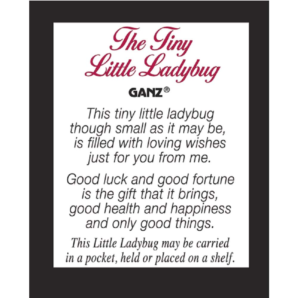 Tiny Little Ladybug Glass Charm With Story Card New Pocket Token