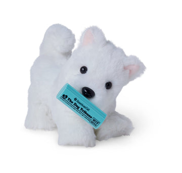 American Girl Coconut Chip White Dog For 18-Inch Dolls Plus Pet Accessories