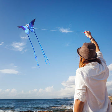 Butterfly Kite For Kids & Adults Easy To Fly, 55'' X 28'' Large Single Line For The Beach, Easy Flying Kite Comes With 300 Ft St
