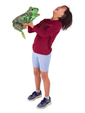 Folkmanis Frog Life Cycle Hand Puppet, Green, 8'