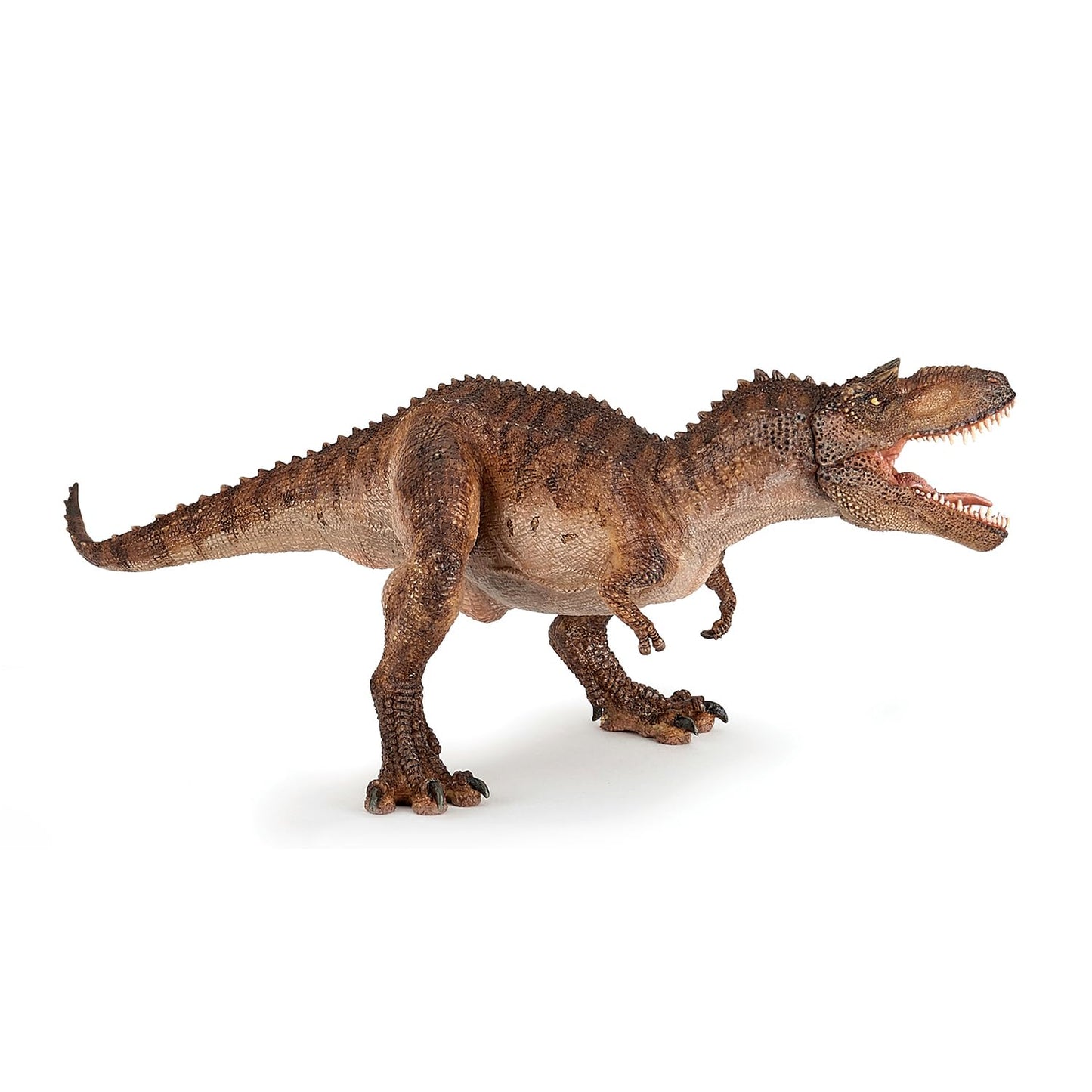 PAPO - Gorgosaurus - Realistic Figurine - for Ages 3+ - Dinosaurs Collection - Hand Painted - Highly Detailed - Durable and Educational - Gift Idea - Collectable - Realistic Dinosaur -Like New