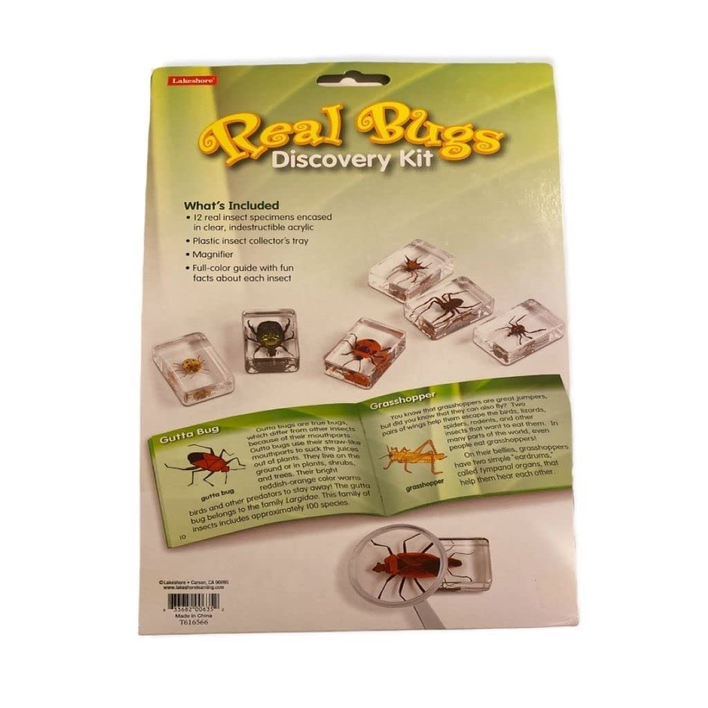 Lakeshore Real Bugs Discovery Kit - Acrylic Anti-Stress Playset