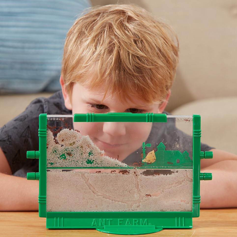 Uncle Milton Ant Farm
