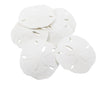 Nautical Crush Trading Sand Dollar | Real Sand Dollars 2 1/2 to 3 (Set of 6) | Sand Dollar Shells Plus Free Nautical eBook by Jo