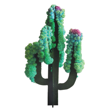 Copernicus Toys Crystal Growing Saguaro Cactus Official Terraformer Kit | Grows In Hours | Facts And Instructions Included