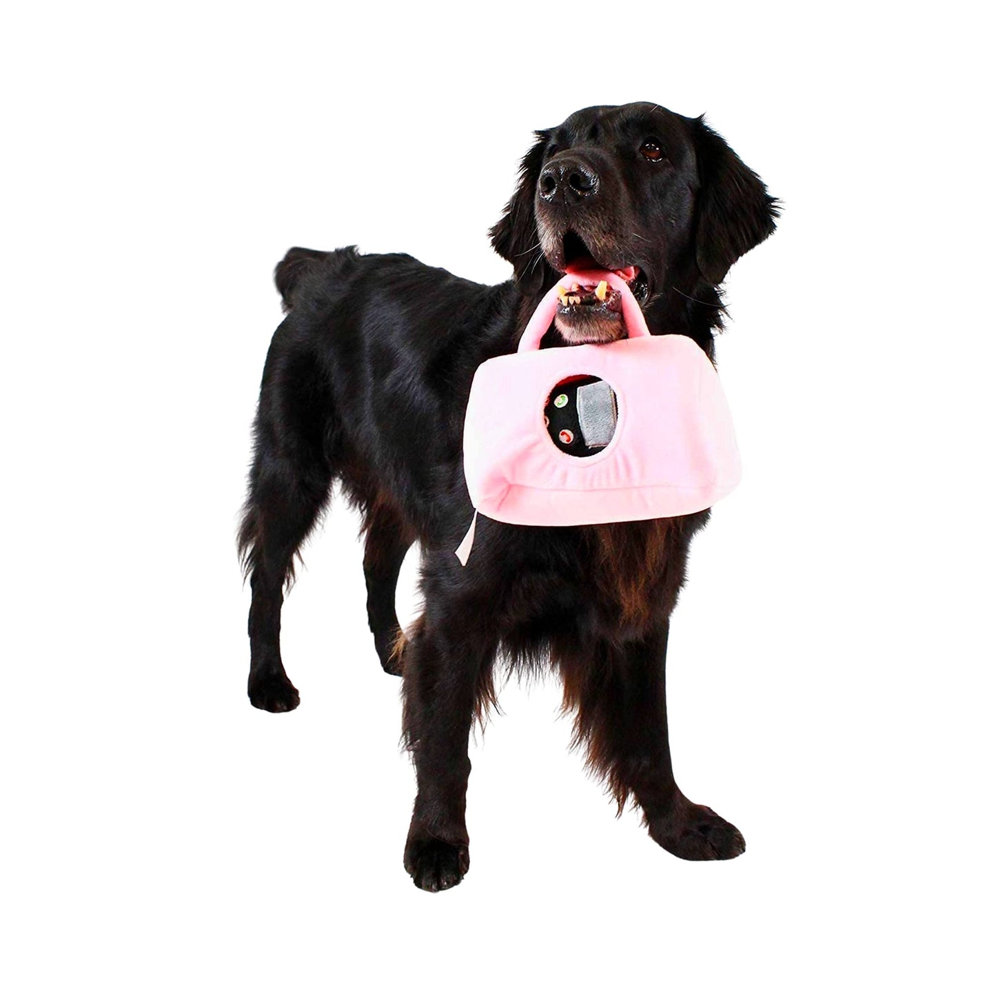 Midlee Plush Purse Find-A-Toy Interactive Dog Toy - 9''
