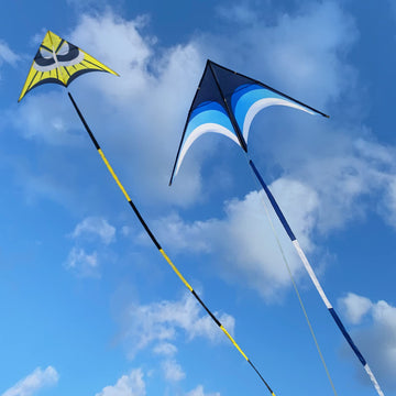 Kaiciuss Huge Delta Kite For Adults Easy To Fly, 9 Ft Giant Single Line Kite, Extra Large Beach Kite With 30M Kite Tail And 300Ft Kite Handle (Blue)