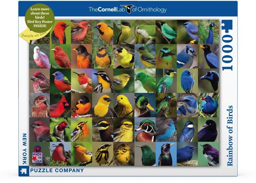New York Puzzle Company - Cornell Lab Rainbow Of Birds - 1000 Piece Jigsaw Puzzle For Family Game Nights