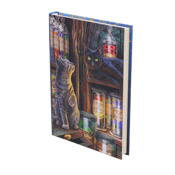 Nemesis Now Lisa Parker Magical Emporium Journal, Multi Coloured, 17Cm