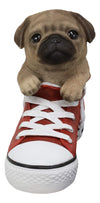 Ebros 'Paw-Star' Pups Lifelike Realistic Puppy Dog In Sneaker Chucks Shoe Statue Pedigree Breed Dogs Puppies Collectible Decor With Glass Eyes Pet Memorial Figurine (Fawn Pug)