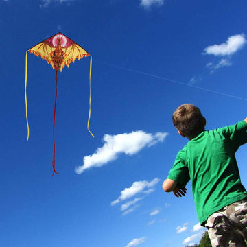 Dragon Kite For Kids Adults, Easy To Fly Best Delta Beach Kite, 300Ft Kite String(Fiery)