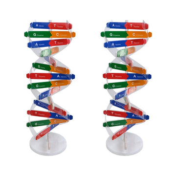 Toddmomy Kids Toys Kids Toys Kids Toys 2 Sets DNA DNA Model for Teaching DNA Model Kit for Students DNA Model Kit Model Kit Doub