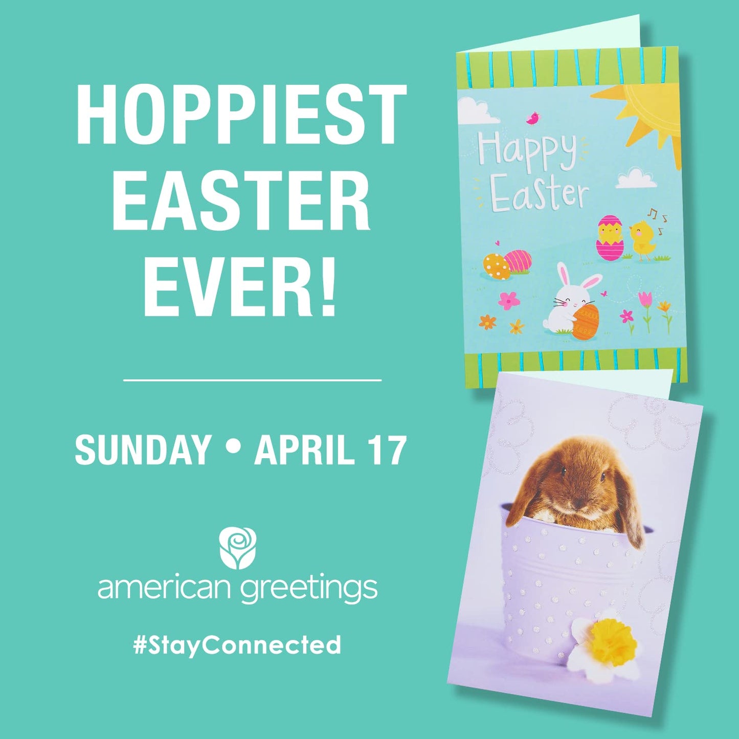 American Greetings 36-Count Paper Dinner Plates, Easter Party Supplies