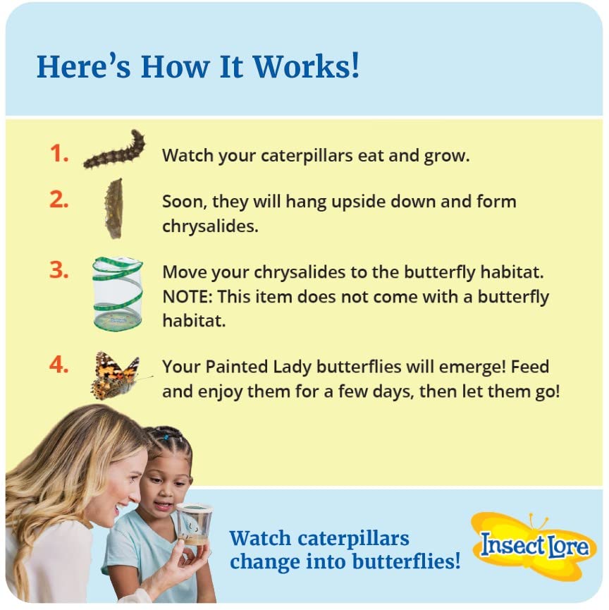 Insect Lore Two Cups Of Caterpillars Deluxe | 10 Live Baby Caterpillars, Stickers Included | Painted Lady Butterflies