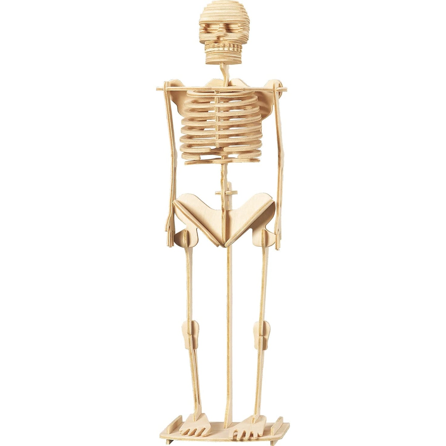 Wonders of Learning Tin Set - Discover The Human Body, Multi Color, Metal, Model RWPTS01
