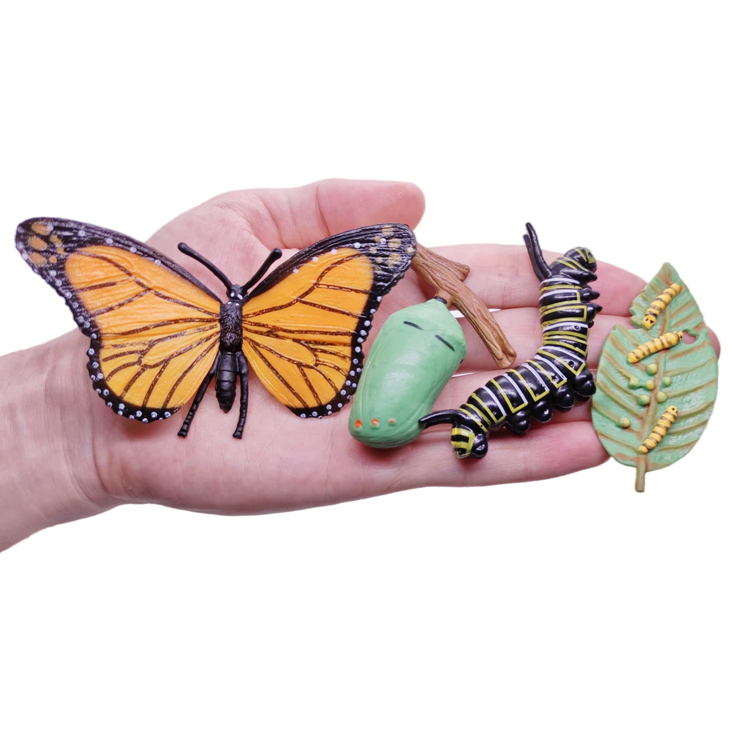 Montessori Life Cycle Animal Figurines Learning & Education Toys, Plastic Insect Snail Ladybug Bee Dragonfly Monarch Butterfly Tadpole To Frog Kit Toy, Preschool Learning Activities Science Toys