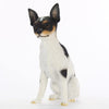 Conversation Concepts Rat Terrier Figurine