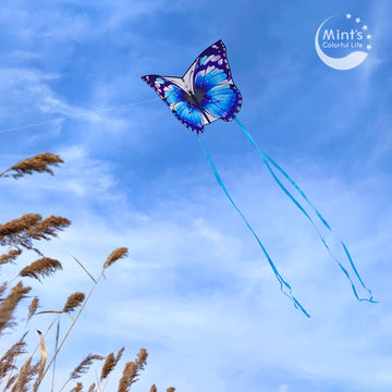 Butterfly Kite (Blue)