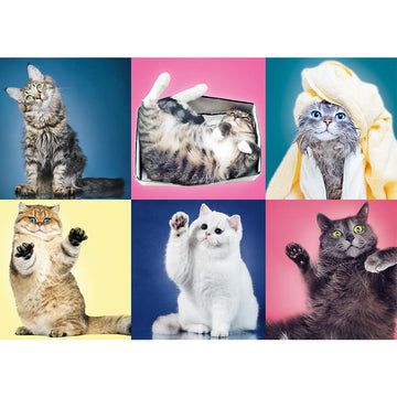 Trefl 500 Piece Jigsaw Puzzles Kittens