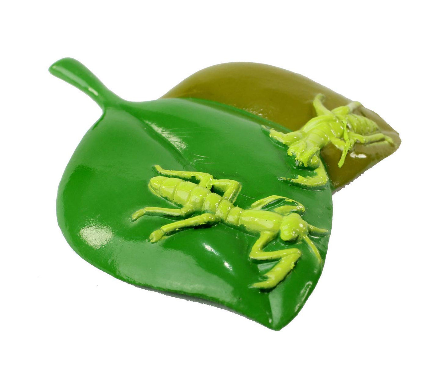 Praying Mantis 4 Piece Life Cycle Figures - 2 Bug Toys by Insect Lore