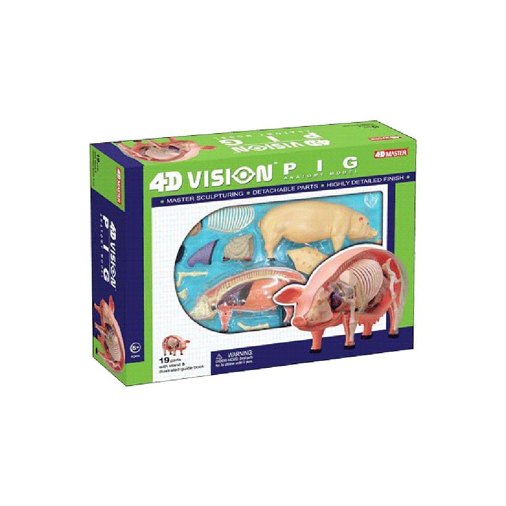 Tedco 4D 26102 Vision Pig Anatomy Model, One Color
