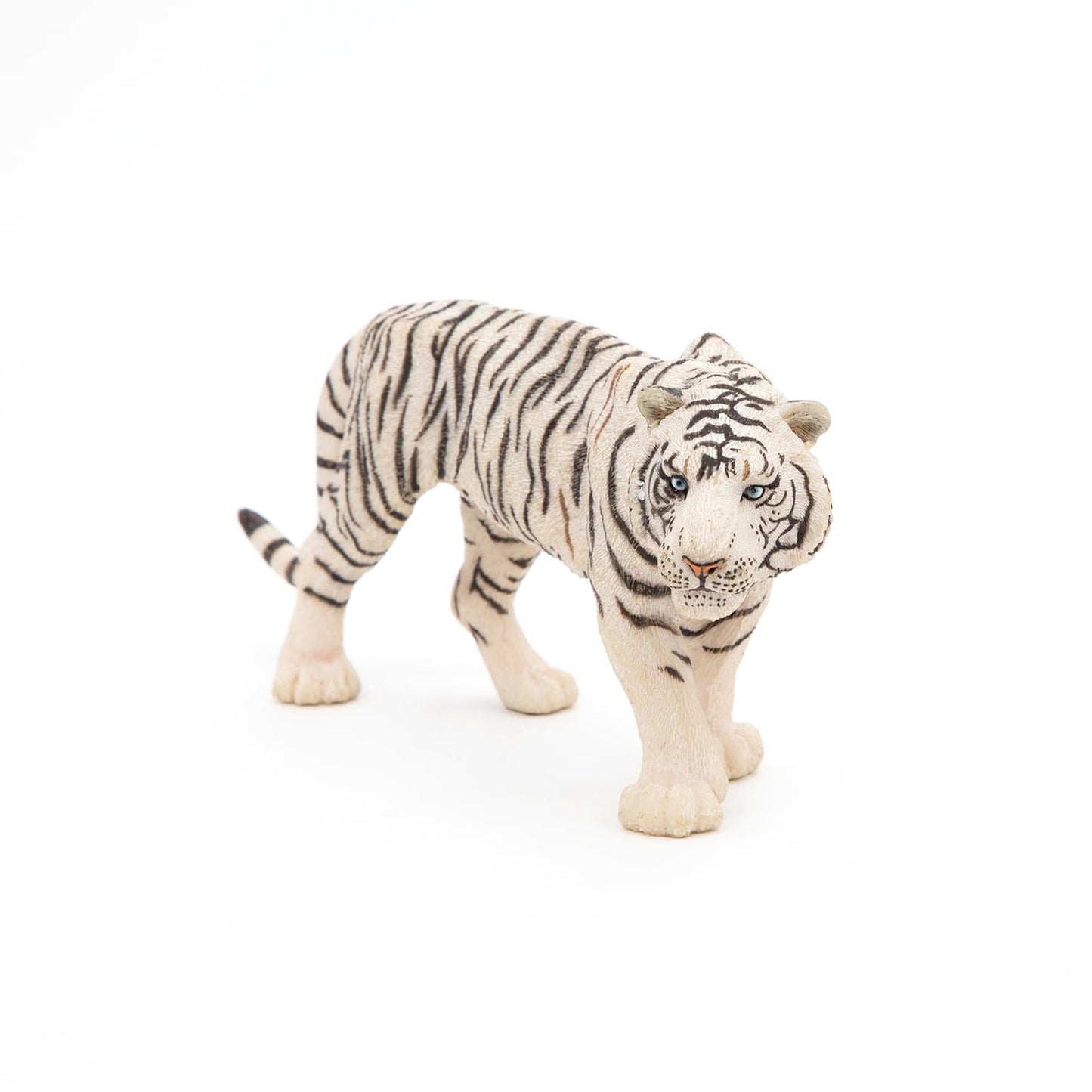 Papo -Hand-Painted - Figurine -Wild Animal Kingdom - White Tiger -50045 -Collectible - For Children - Suitable For Boys And Girls- From 3 Years Old