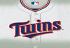 Amscan Minnesota Twins Party Napkins - 6 1/2' X 6 1/2', Pack Of 16, Multicolor