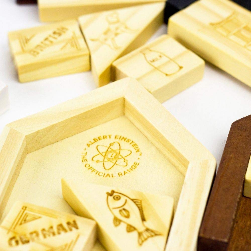The Einstein Collection Einsteins House Riddle/Riddle Based Brain Game/Professor Puzzle 3D Brain Teaser Puzzles